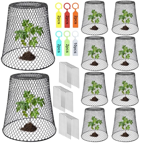 Amazon.com : Dukelai 10 Pcs Chicken Wire Cloche Plant Covers Garden Netting Metal Heavy Duty Plant Protectors From Animals for Keeping Bunnies Chicken Squirrels Birds Other Out 9.13×9.13 in : Patio, Lawn & Garden
