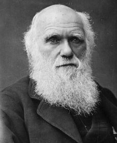 One of the last photographs taken of Charles Darwin.