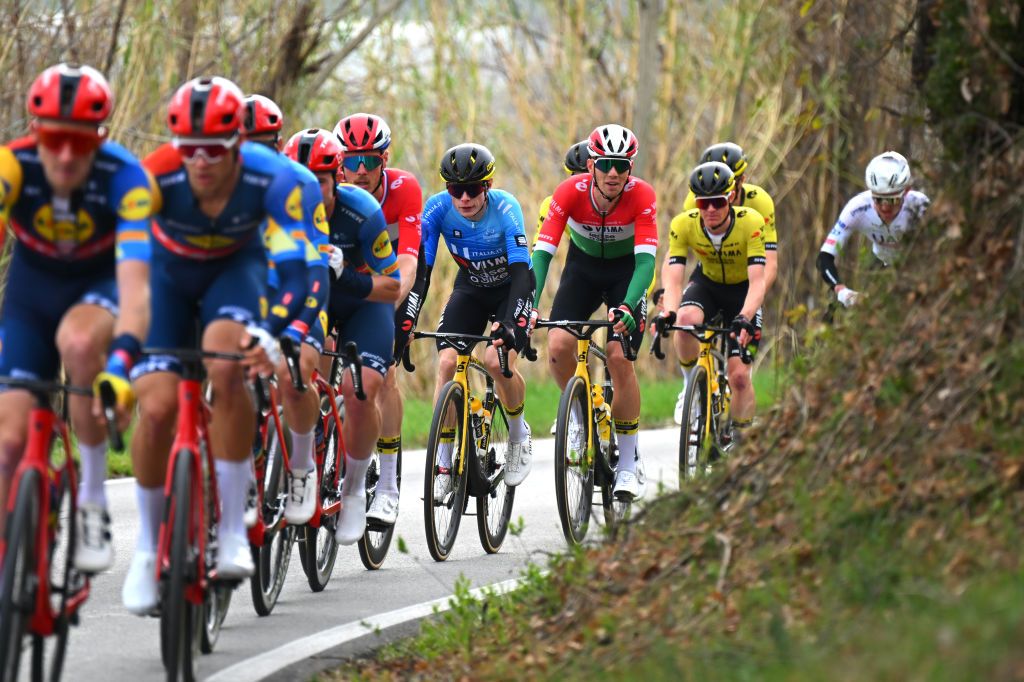 Race leader Jonas Vingegaard stayed safe in the peloton surrounded by his Visma-Lease A Bike teammates