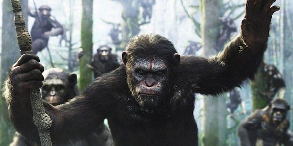 Dawn of the Planet of the Apes': Other Monkey and Ape Movies – The  Hollywood Reporter