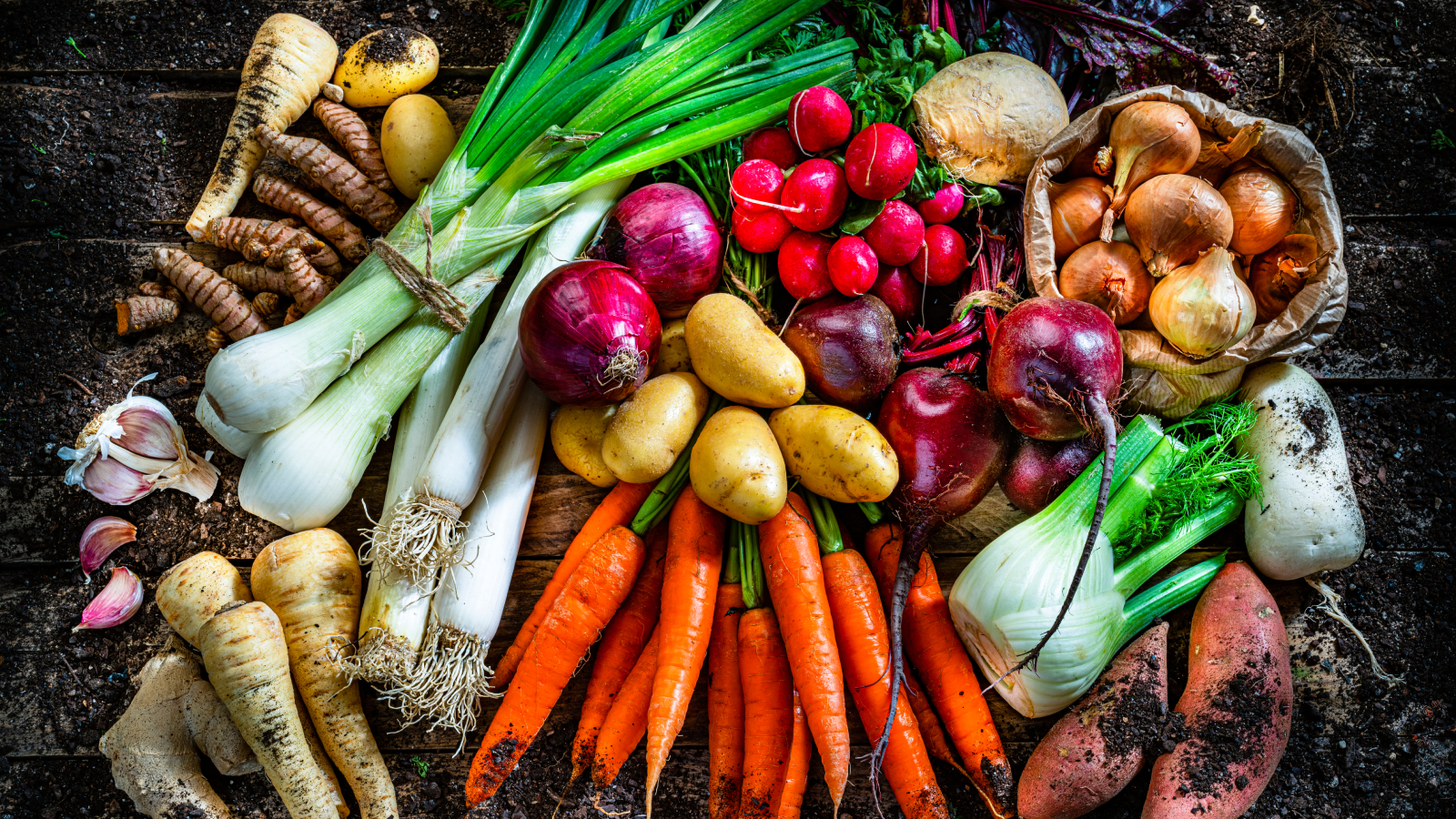 Group of root vegetables on dirt background