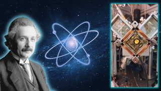 Einstein's equalance principle manifests in the quantum realm.