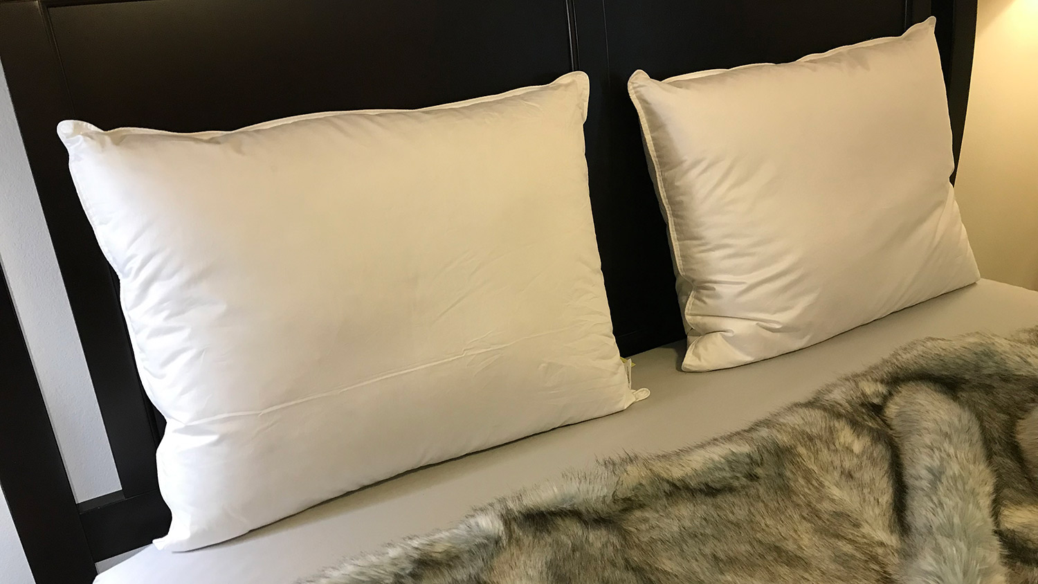 Two Brooklinen Plush Down Pillows resting against a headboard