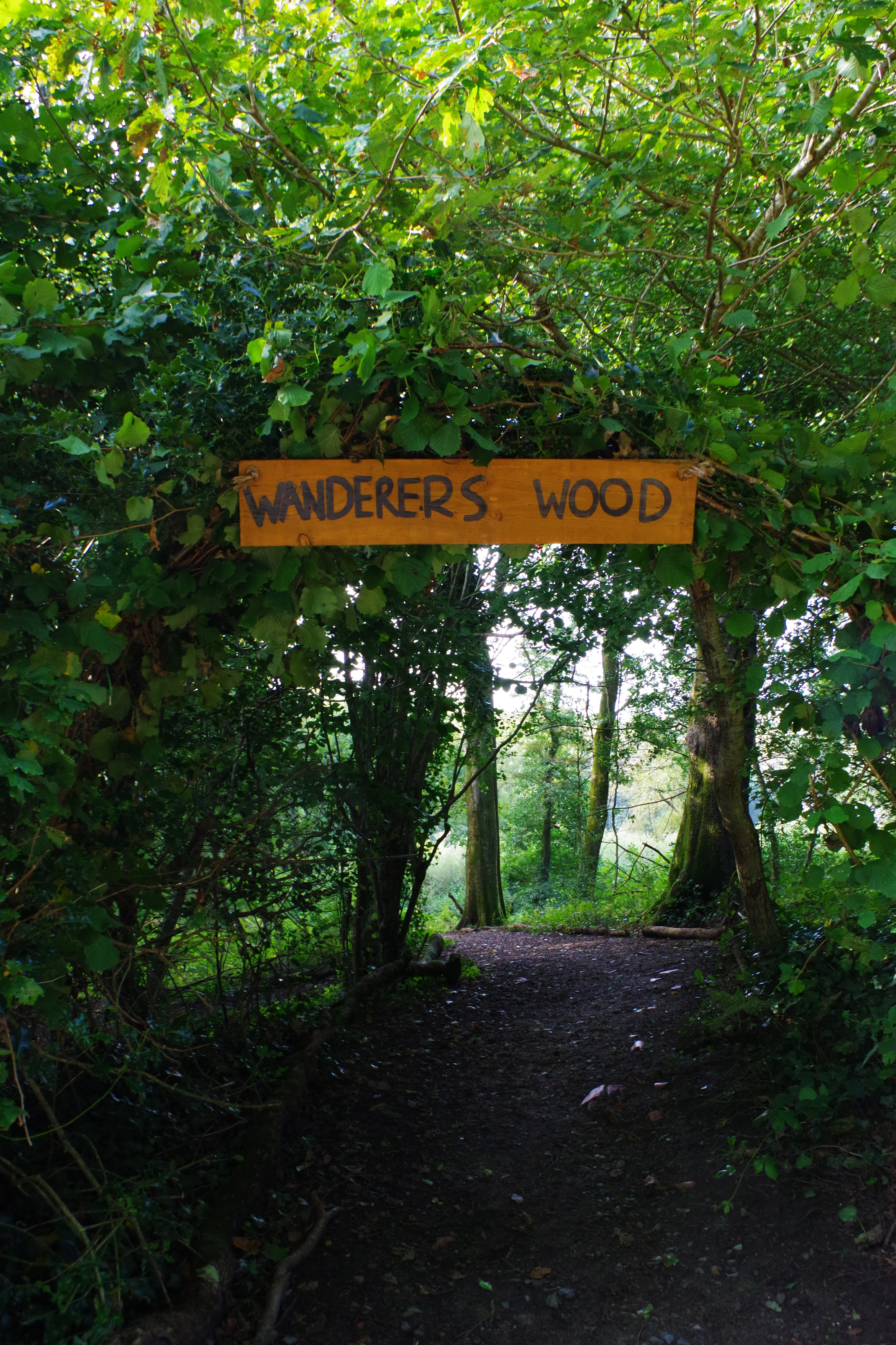 Wanderers wood captured on the Pentax KF