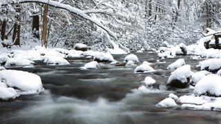 Great Smoky mountains stream