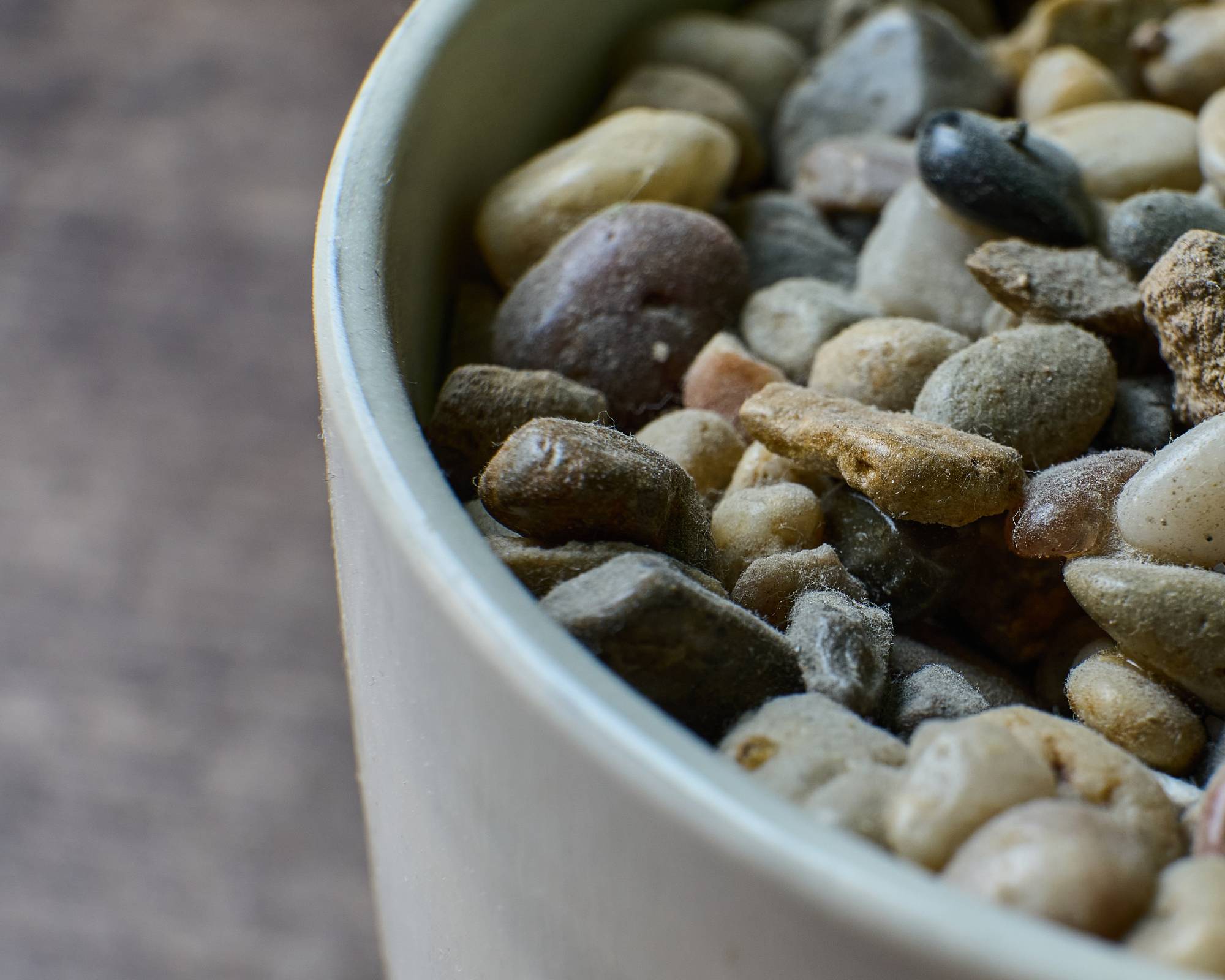 Pebbles in dish under a plant