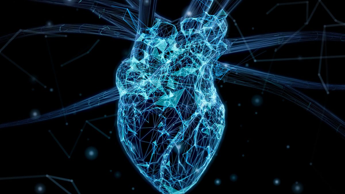 abstract illustration of a human heart