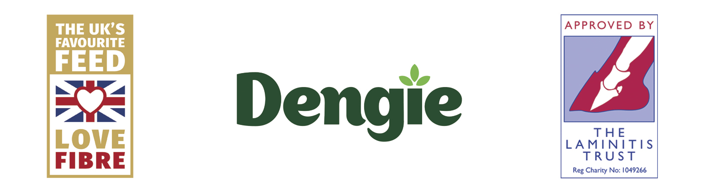 Logo-Footer-Strap