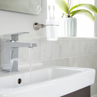 bathroom wash basin with potted plant