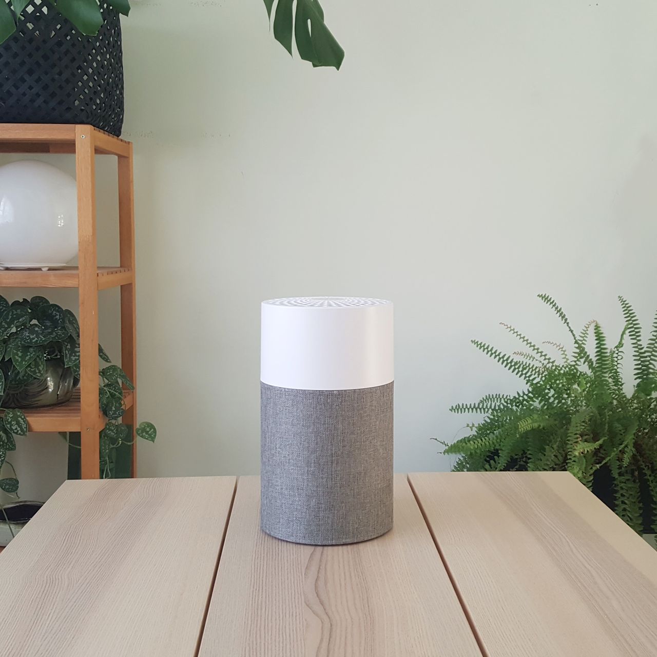 Blueair Blue Pure 511 air purifier on a wooden table