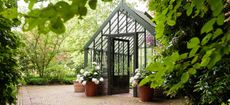 Greenhouse in grounds of home