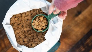 picture of woman scooping out spoon full of dry dog food