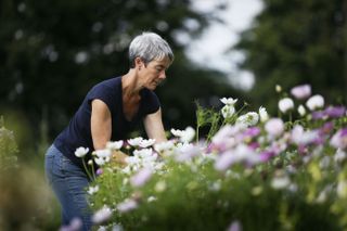 Rachel Siegfried of Green and Gorgeous Flowers in her garden at Bailiffs House, Little Stoke, Wallingford.