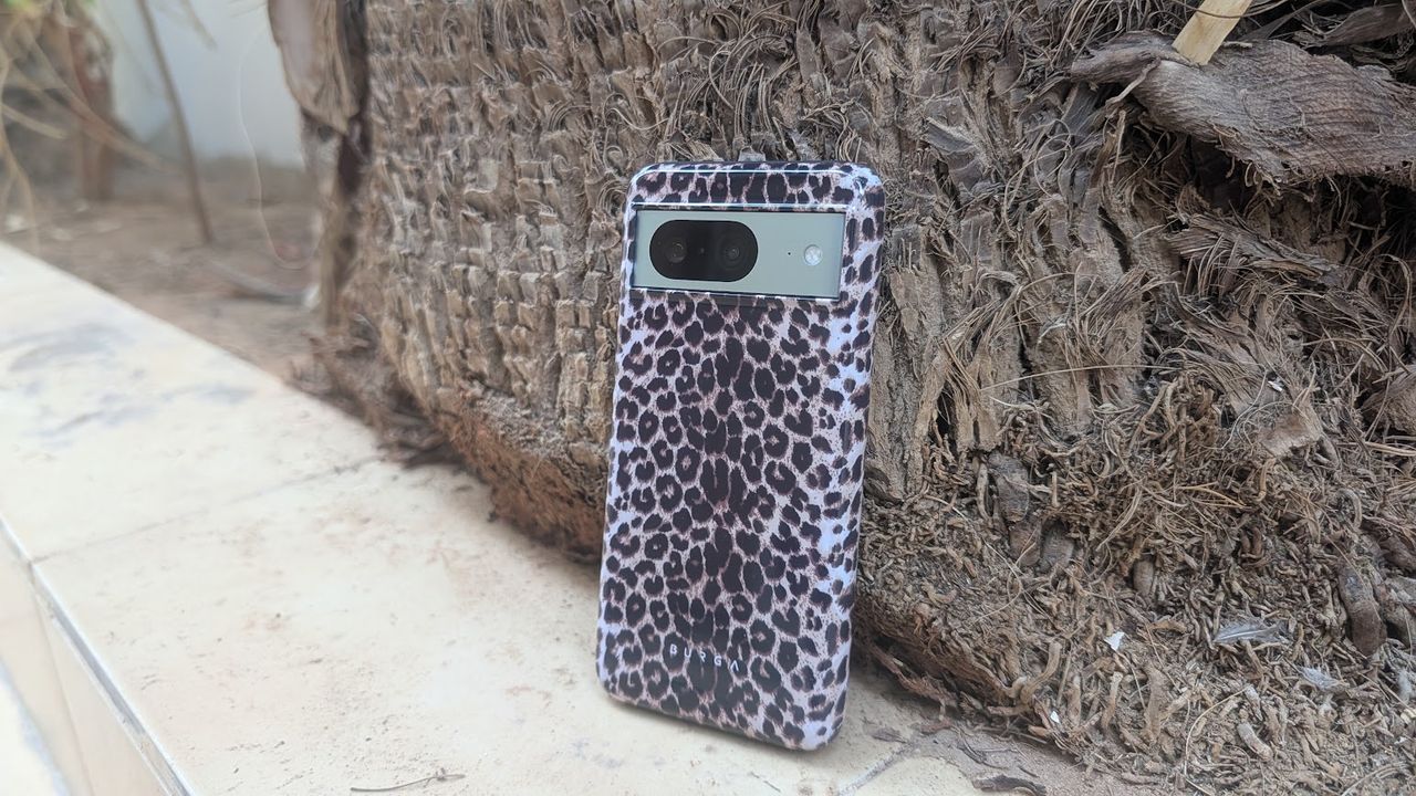 Google Pixel 8 case