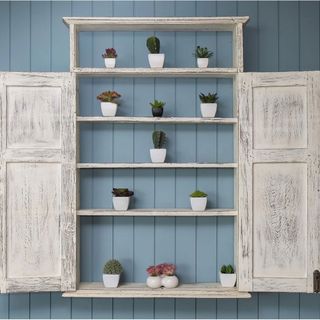 room with blue timber panels and white wooden shelf with plant in pots
