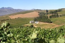 Highberry Wine Farm in South Africa