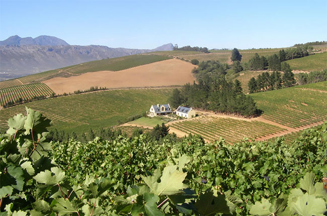 Highberry Wine Farm in South Africa