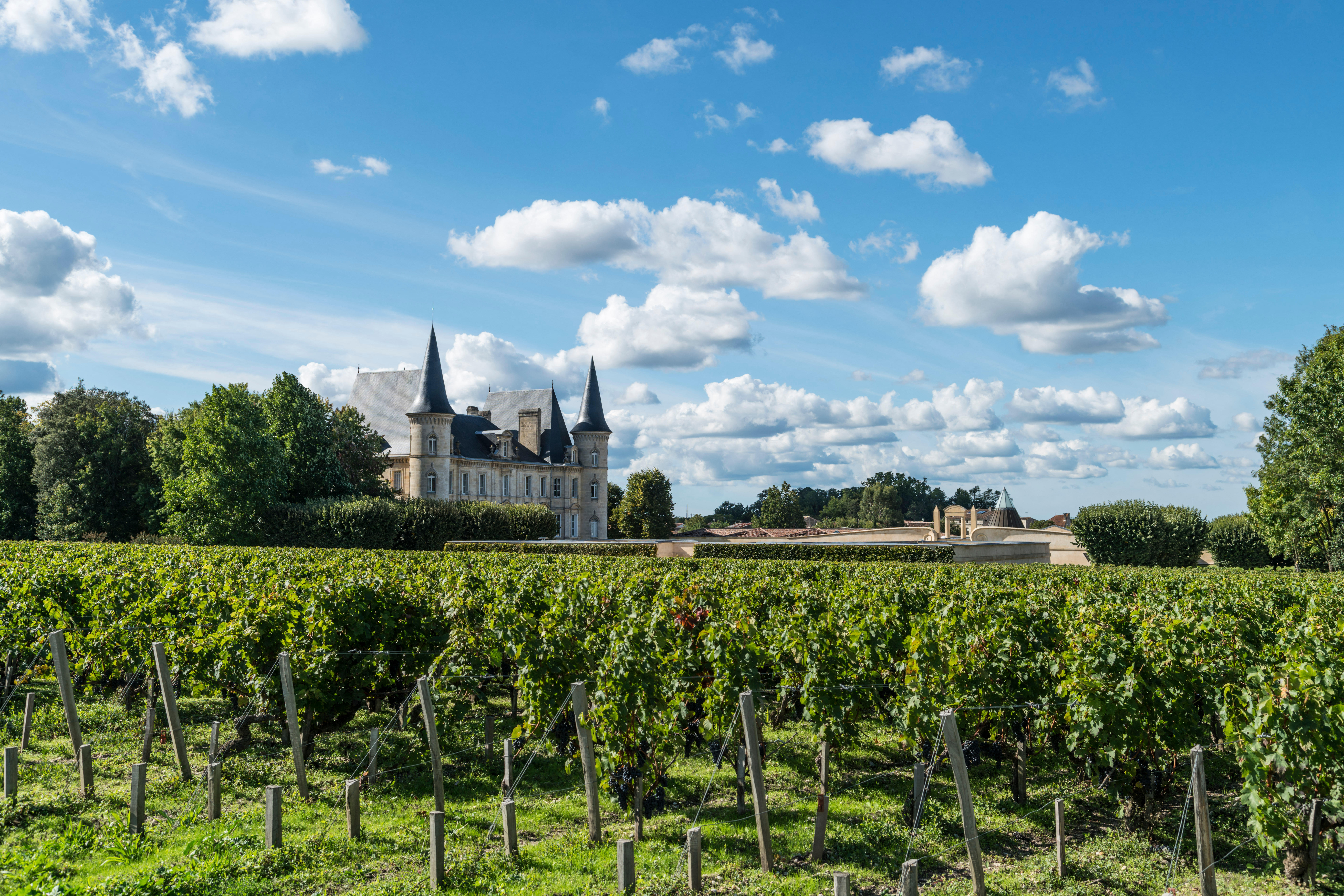 A view of the gothic Chateau Pichon Baron, with plenty of green grape vines in the foreground and a blue sky overhead
