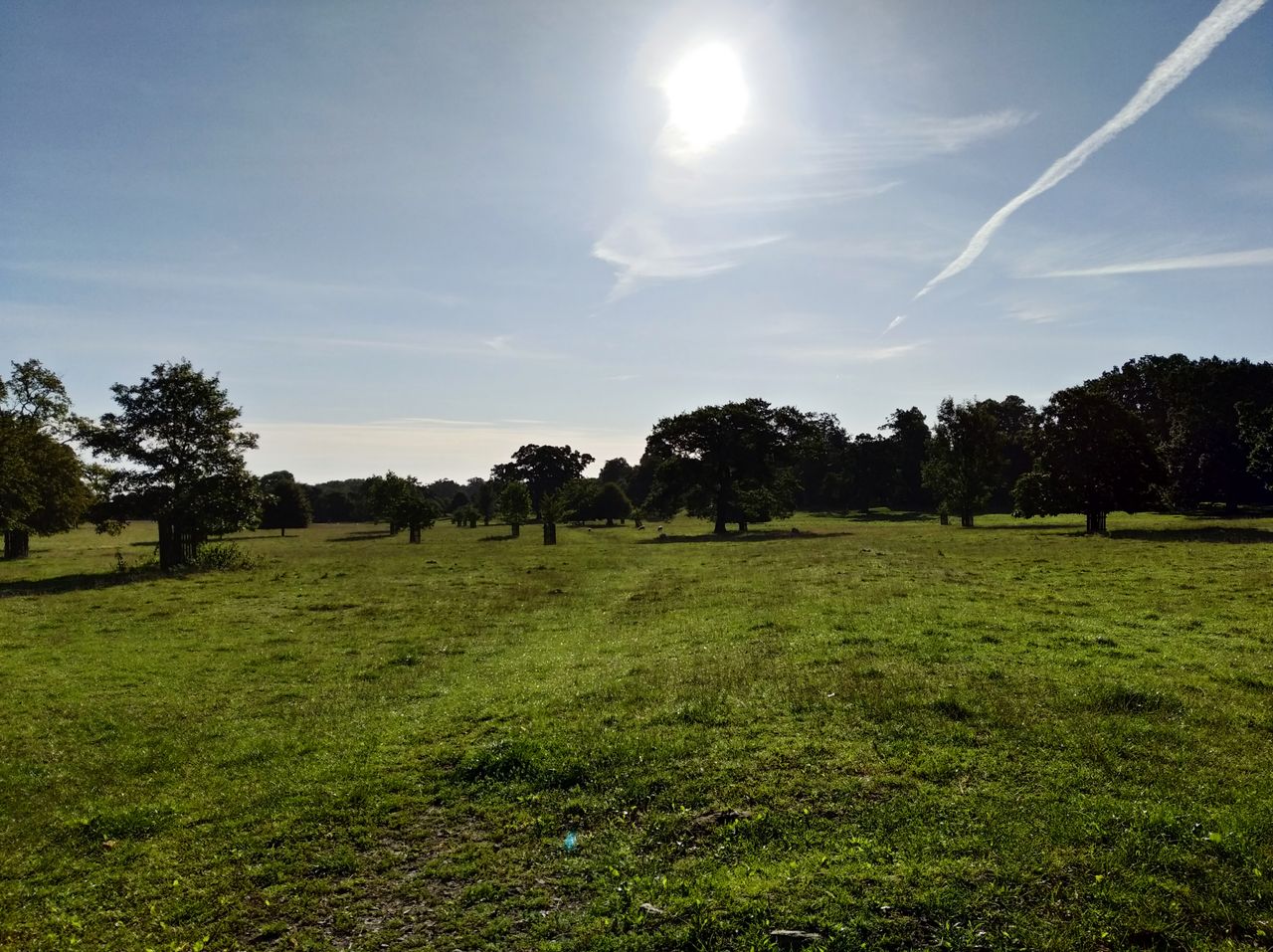 The auto HDR can help recover detail from shadows.