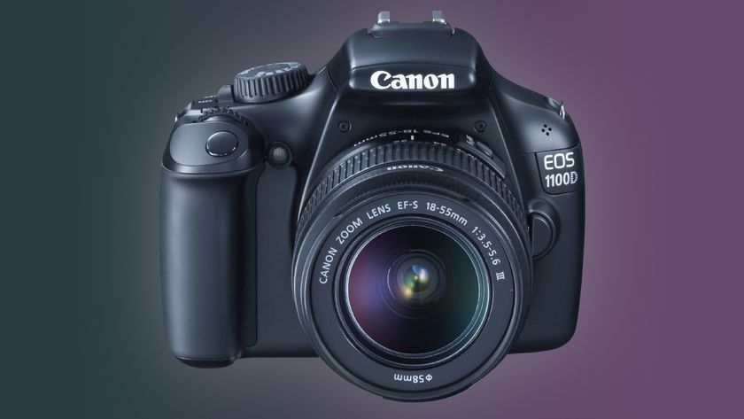 Canon EOS 1100D against a purple and dark green background