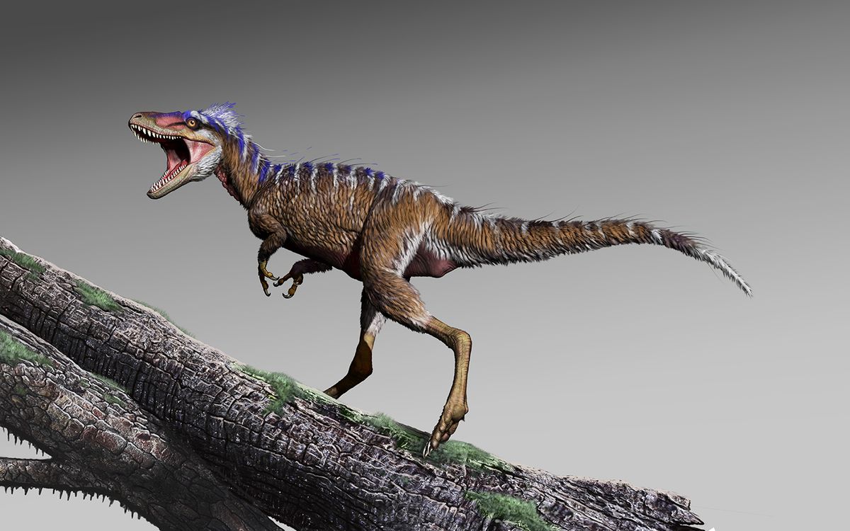 Mighty T. Rex Began As Cute, Deer-Size Dino
