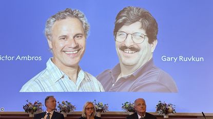 Nobel Committee announces the winners of the 2024 Nobel Prize in Physiology or Medicine during a press conference at the Karolinska Institute in Stockholm, Sweden, on October 7, 2024.