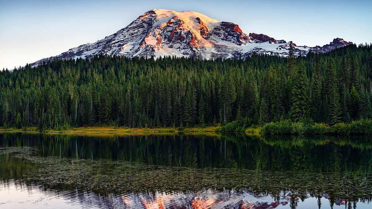 Treeline: Mount Rainier