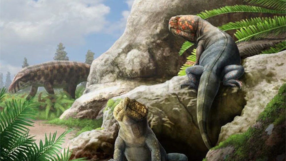 Eine Illustration von zwei eidechsenähnlichen grünen Arten mit roten Schnabelköpfen auf einem Felsen.  Im Hintergrund läuft ein weiteres Reptil vorbei.