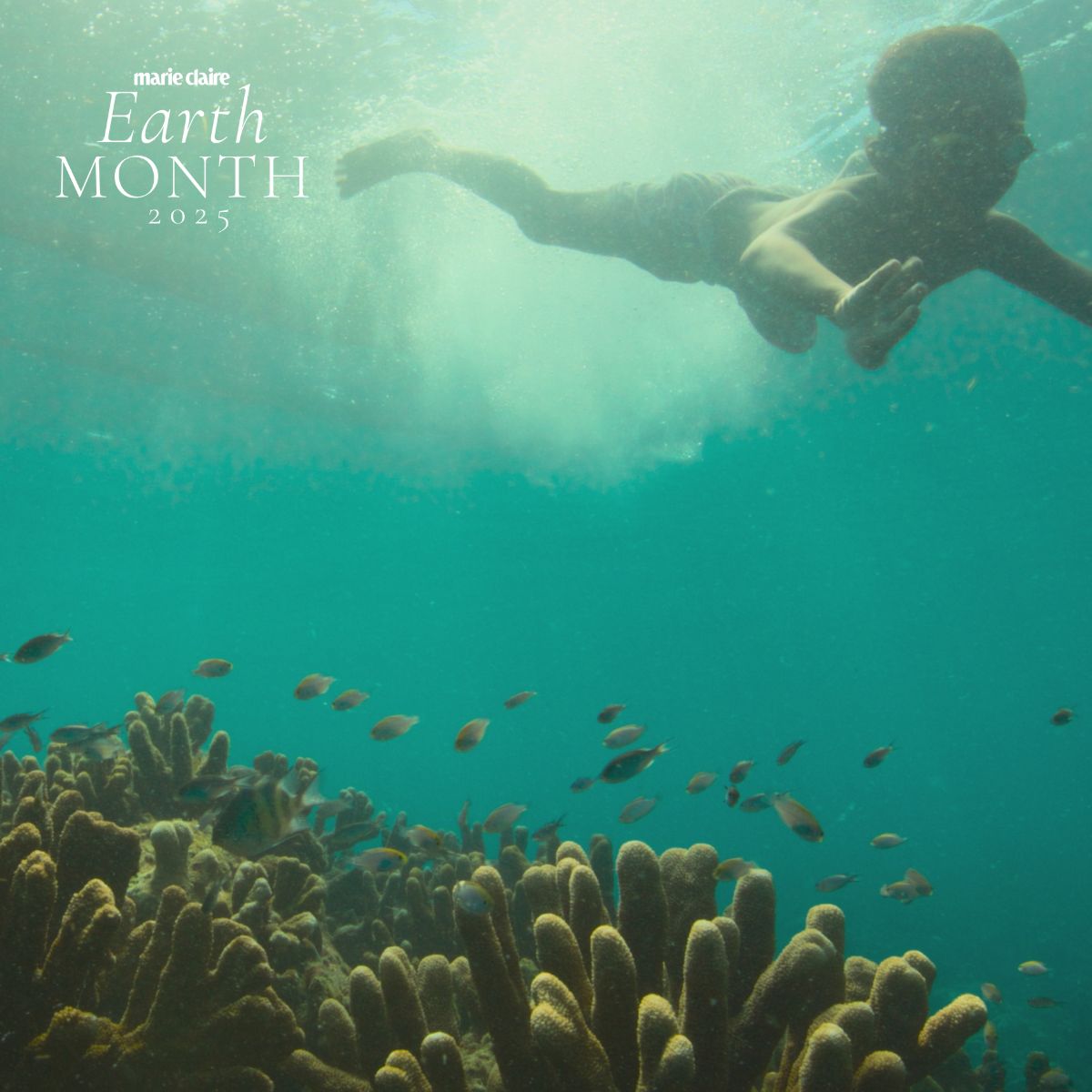 Under the sea, the coral reef in the left hand corner with a young person top right hand corner swimming down into the blue sea near the coral reef with the Marie Claire UK Earth Month 2025 logo 