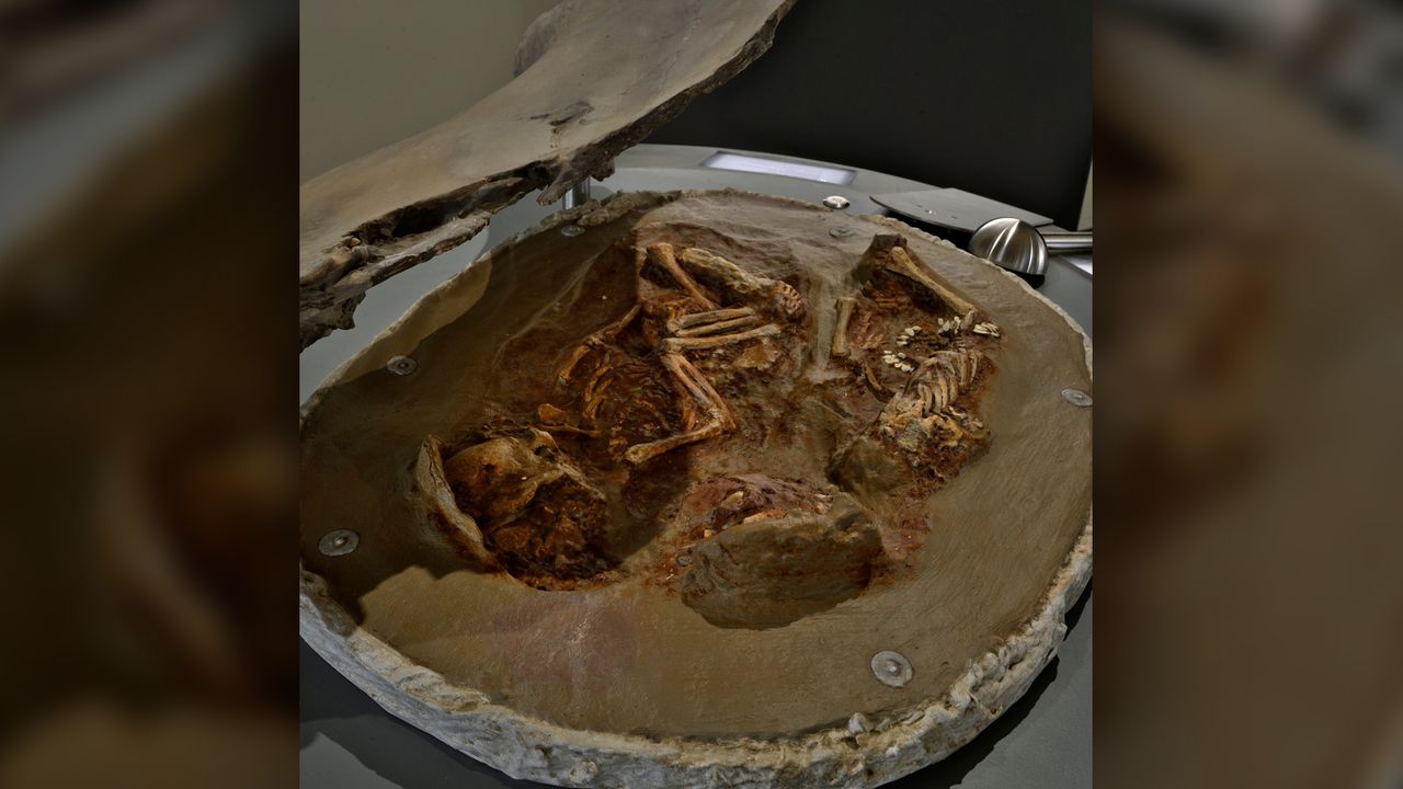 A replica of the double burial at Natural History Museum Vienna