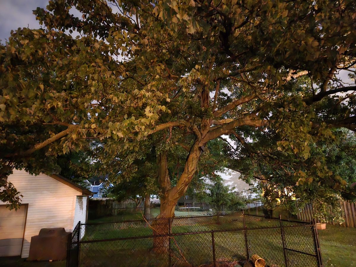 Samsung Galaxy Z Fold 6 low light sample.