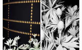 Paper flowers in front of a black background with Chanel perfume bottles