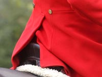 huntingnew2.jpg