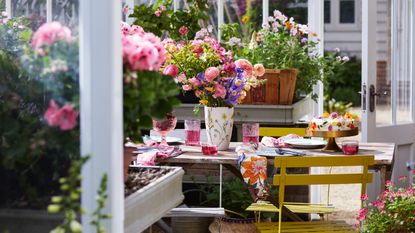 selection of spring bulbs potted up on bench in shades of green, daffs, hyacinths, primrose