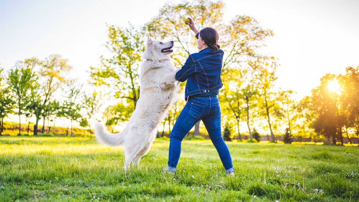 Woman playing with her dog outside