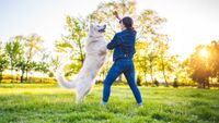 Woman playing with her dog outside