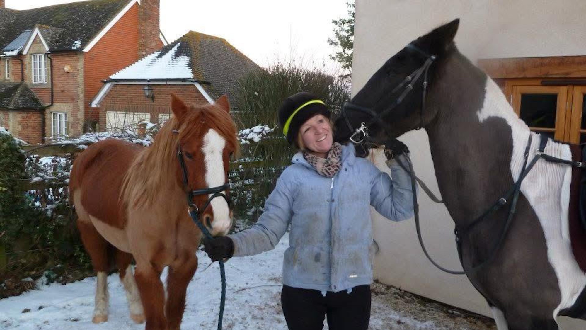 Prince Rusty with Humbug and Juliet in the snow