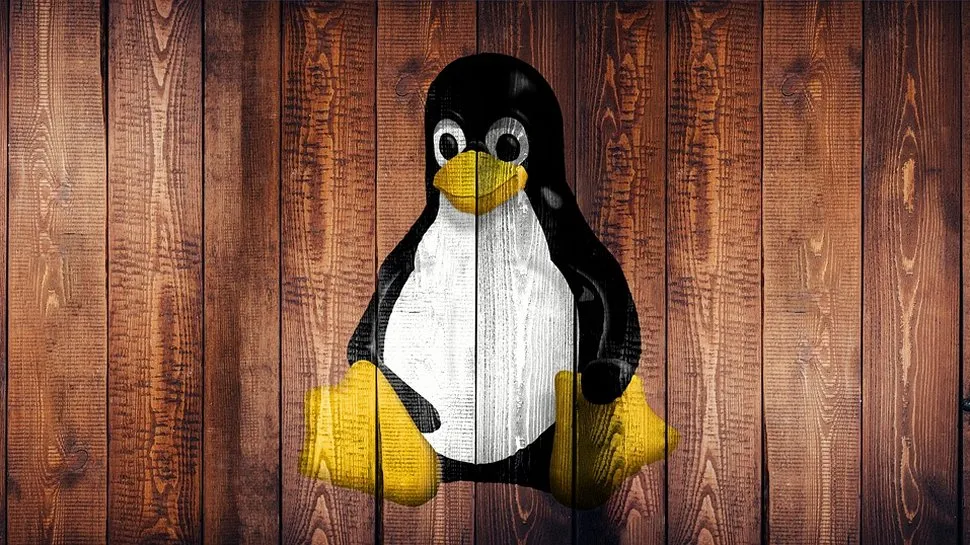 Linux: A solo developer is attempting to clean up 30 years of mess