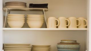 picture of inside kitchen cupboard with a shelf organiser