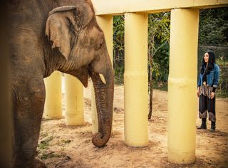 Cher and Kaavan get to know one another in Cambodia.