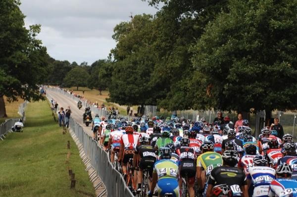 The bunch in Richmond Park