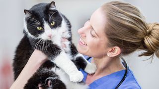 Female vet holding cat