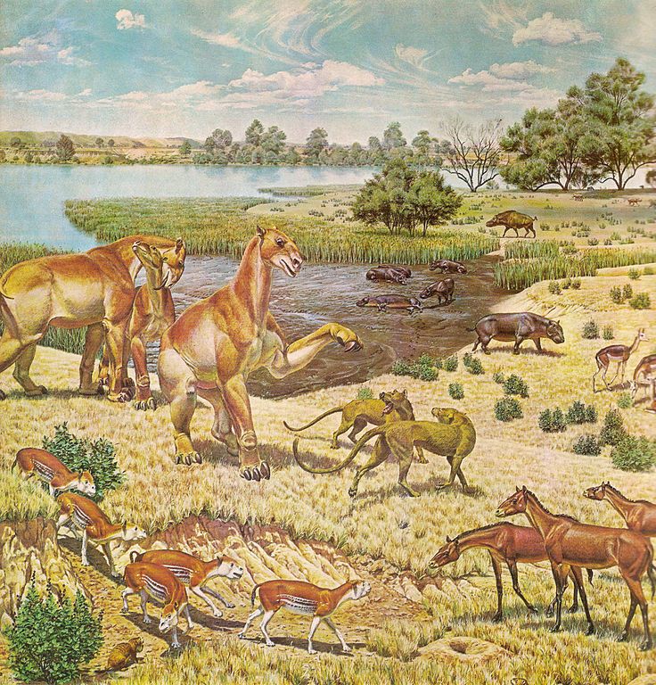 Miocene epoch