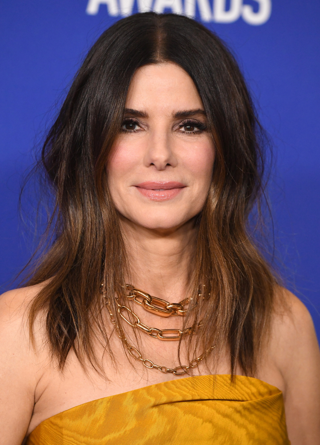 Sandra Bullock poses in the press room at the 77th Annual Golden Globe Awards at The Beverly Hilton Hotel on January 05, 2020 in Beverly Hills, California