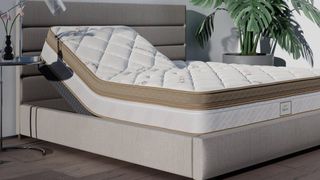 Saatva Solaire Adjustable Mattress on a beige fabric bedframe with a green houseplant in the corner