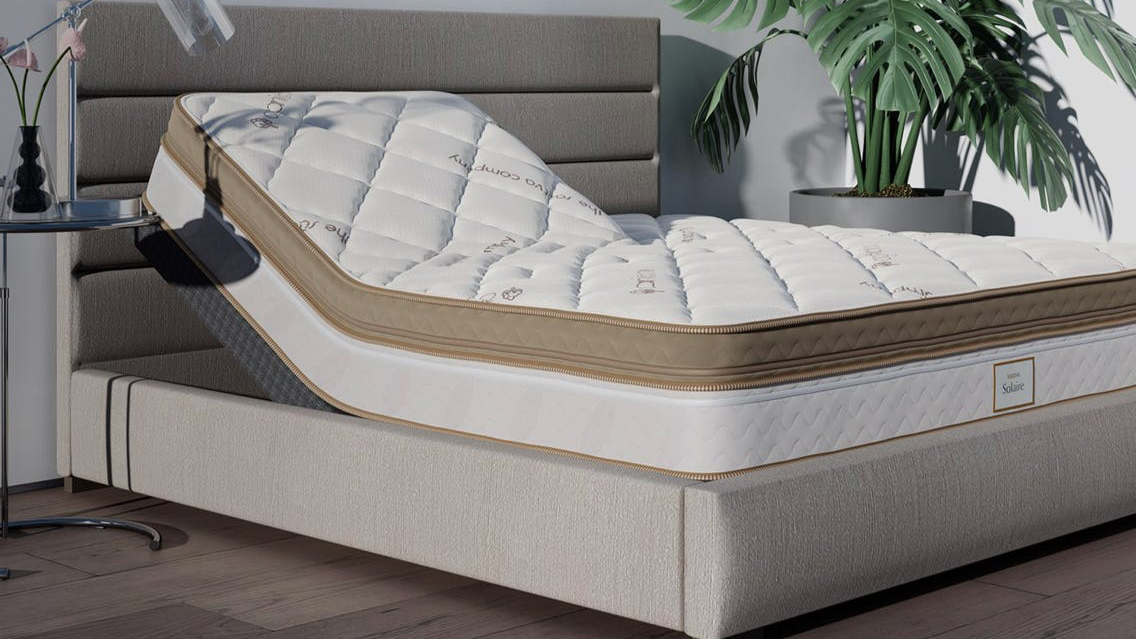 The Saatva Solaire Adjustable Mattress placed on a beige bed frame and placed next to a tall green plant