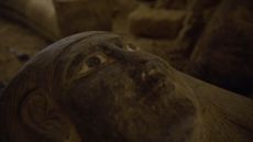The painted coffins found at Saqqara were well preserved.