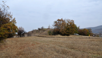 a small grass-covered mound with dotted trees against a landscape