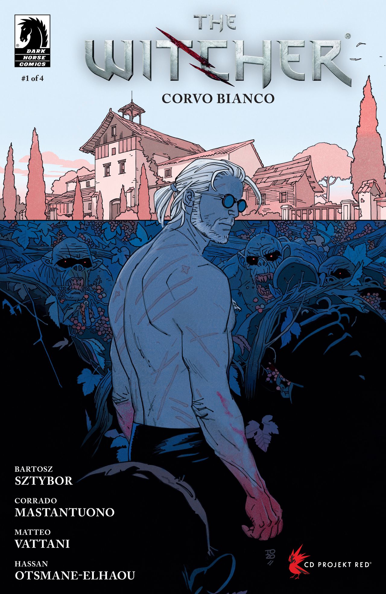 Art from The Witcher: Corvo Bianco