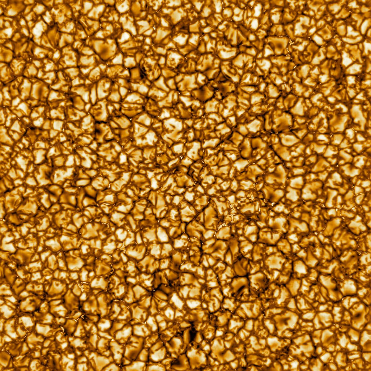 Blobs of gold on a dark surface